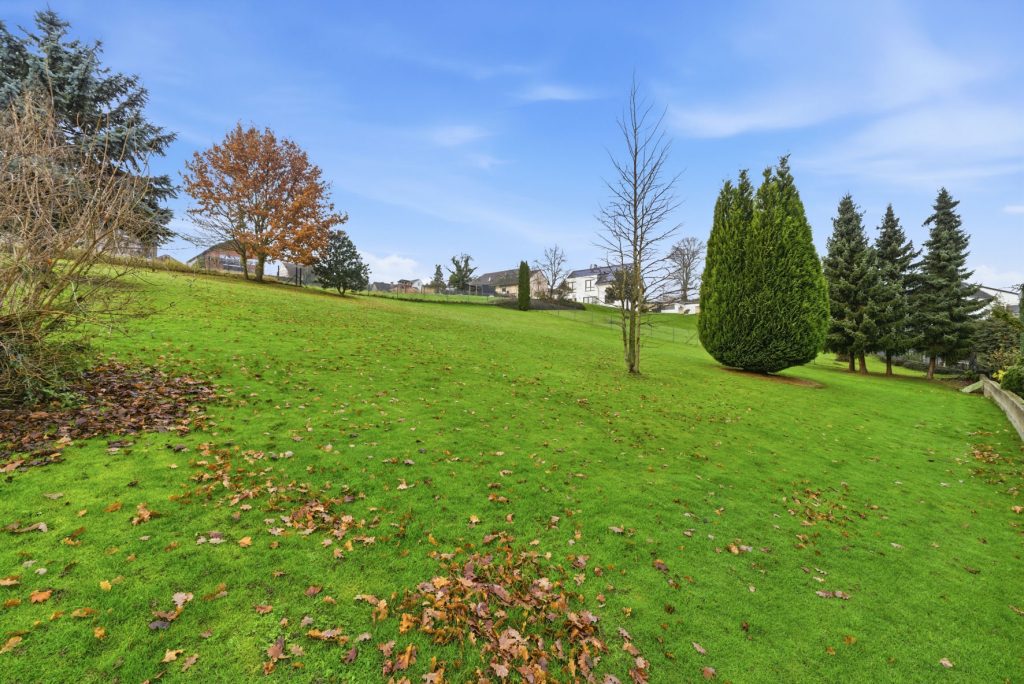 Gütelhöfer Immobilien - Immobilienangebot - Bornheim / Hemmerich - Alle - Platz für 2 Generationen! Großzügiges Einfamilienhaus mit Einliegerwohnung auf 2.244m² Grund