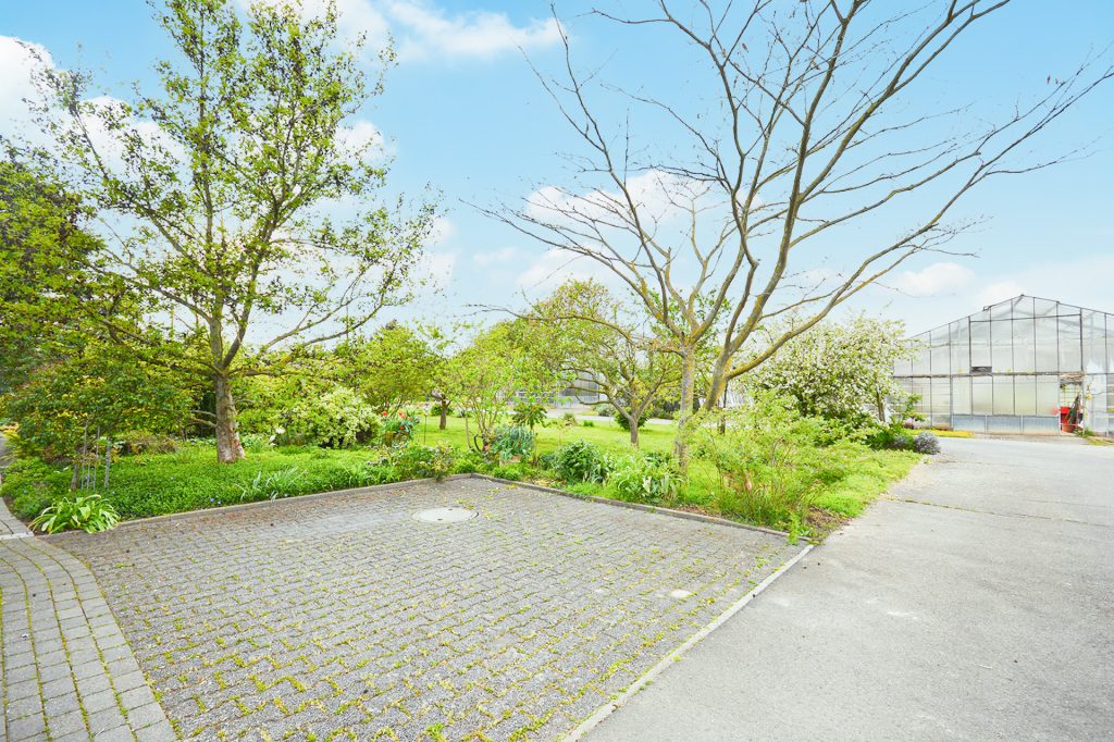 Gütelhöfer Immobilien - Immobilienangebot - Bornheim / Merten - Alle - Wohnen in der Natur! Renovierte und bezugsfreie Zweiraumwohnung mit Terrasse u. Stellplatz in Merten