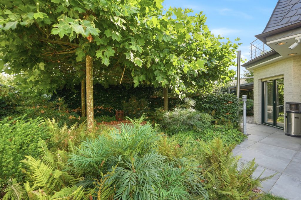 Gütelhöfer Immobilien - Immobilienangebot - Bornheim / Uedorf - Alle - Zeitloses Einfamilienhaus in Uedorf. Exklusives Wohnen in Rheinnähe mit hochwertiger Ausstattung!